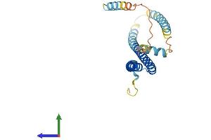 Protein Structure (PS) image for Charged Multivesicular Body Protein 2A (CHMP2A) (AA 1-222) protein (His tag) (ABIN7553321)