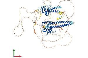 AlphaFold protein structure predicition of Mouse Recombinant Afap1l1 Protein, UniprotID Q8BZI0