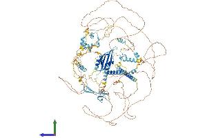 AlphaFold protein structure predicition of Human Recombinant NOL8 Protein, UniprotID Q76FK4 (NOL8 Protein (AA 1-1167) (His tag))