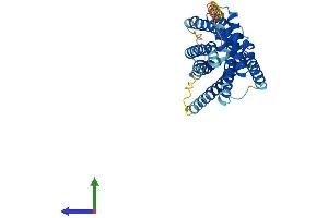 Protein Structure (PS) image for Purinergic Receptor P2Y, G-Protein Coupled, 12 (P2RY12) (AA 1-342) protein (His tag) (ABIN7550544)