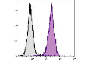 C57BL/6 mouse splenocytes were stained with Mouse Anti-Mouse CD45. (CD45.2 antibody  (FITC))