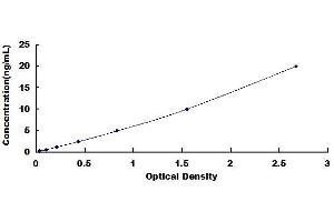 CRTC3 ELISA Kit