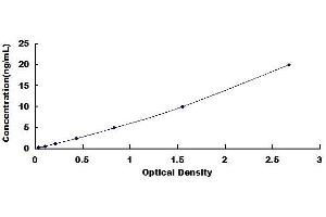 Typical standard curve (CRTC3 ELISA Kit)