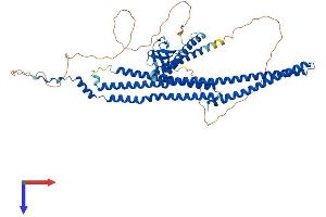 Thyroid Hormone Receptor Interactor 10 (TRIP10) (AA 1-603) protein (His tag)