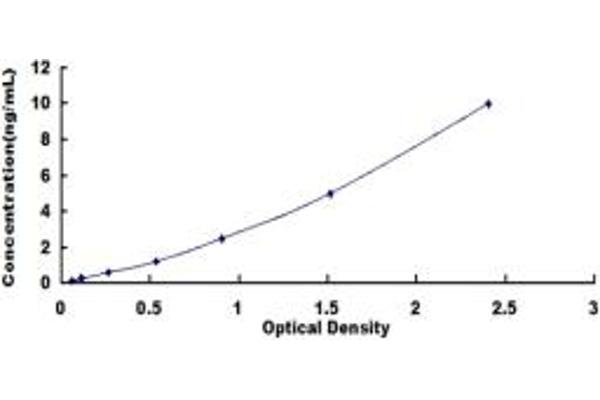 Paxillin ELISA Kit