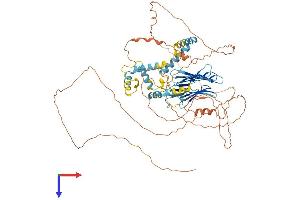 AlphaFold protein structure predicition of Human Recombinant ERICH6B Protein, UniprotID Q5W0A0