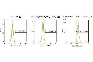Flow Cytometry (FACS) image for anti-N-Ethylmaleimide-Sensitive Factor Attachment Protein, alpha (NAPA) (AA 1-295) antibody (APC) (ABIN5568292) (NAPA antibody  (AA 1-295) (APC))