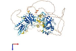 Poly (ADP-Ribose) Polymerase Family, Member 8 (PARP8) (AA 1-854) protein (His tag)