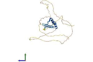 AlphaFold protein structure predicition of Mouse Recombinant Crx Protein, UniprotID O54751 (CRX Protein (AA 1-299) (His tag))