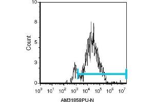 Flow Cytometry (FACS) image for anti-Lymphocyte Antigen 76 (Ly76) antibody (ABIN955150) (Ly76 antibody)