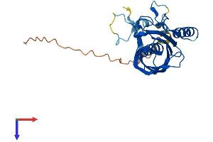 Thioesterase Superfamily Member 5 (THEM5) (AA 1-247) protein (His tag)