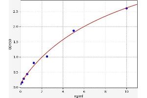 CXCR5 ELISA Kit