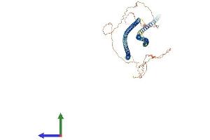 Protein Structure (PS) image for Keratin 77 (KRT77) (AA 1-572) protein (His tag) (ABIN7557926)