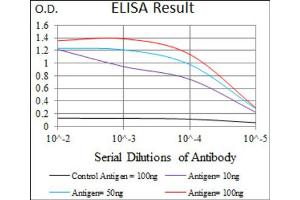 Red: Control Antigen (100ng) ; Purple: Antigen (10ng) ; Green: Antigen (50ng) ; Blue: Antigen (100ng).