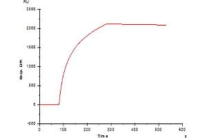 Image no. 1 for anti-Fc Fragment of IgE Receptor Ia (FCER1A) antibody (ABIN1558258) (Fc epsilon RI/FCER1A antibody)