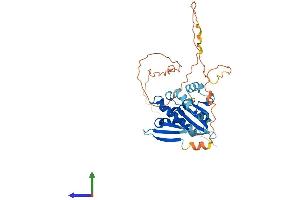 AlphaFold protein structure predicition of Human Recombinant BNIPL Protein, UniprotID Q7Z465