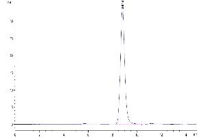 The purity of Mouse EREG is greater than 95 % as determined by SEC-HPLC. (Epiregulin Protein (EREG) (AA 56-101) (Fc Tag))