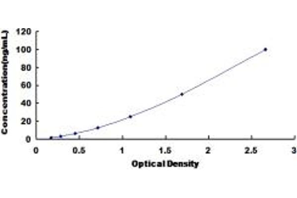 ADH1 ELISA Kit