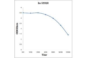 DCUN1D2 antibody  (AA 151-250)