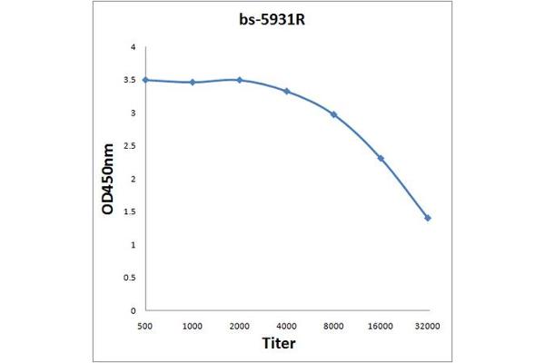 DCUN1D2 antibody  (AA 151-250)