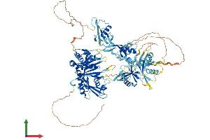 Protein Structure (PS) image for Ubiquitin Specific Peptidase 4 (USP4) (AA 1-963) protein (His tag) (ABIN7555925)