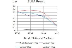 Black line: Control Antigen (100 ng),Purple line: Antigen (10 ng), Blue line: Antigen (50 ng), Red line:Antigen (100 ng) (ATG4A antibody  (AA 258-398))