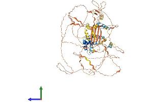 AlphaFold protein structure predicition of Human Recombinant NUTM2E Protein, UniprotID B1AL46 (FAM22E Protein (AA 1-878) (His tag))