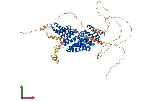 AlphaFold protein structure predicition of Mouse Recombinant Gpsm2 Protein, UniprotID Q8VDU0