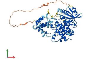 AlphaFold protein structure predicition of Human Recombinant IRAK4 Protein, UniprotID Q9NWZ3 (IRAK4 Protein (AA 1-460) (His tag))