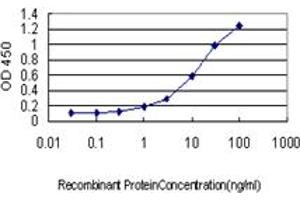 Detection limit for recombinant GST tagged CSE1L is approximately 0. (Exportin 2 antibody  (AA 872-971))