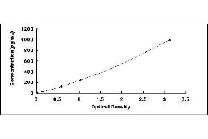 Typical standard curve (SOCS3 ELISA Kit)