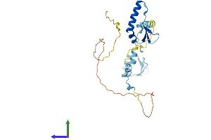 AlphaFold protein structure predicition of Human Recombinant SURF2 Protein, UniprotID Q15527 (SURF2 Protein (AA 1-256) (His tag))
