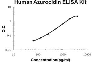 Human Azurocidin PicoKine ELISA Kit standard curve (Azurocidin ELISA Kit)