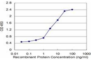 Detection limit for recombinant GST tagged TPT1 is approximately 0. (TPT1 antibody  (AA 35-138))