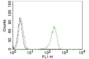 Flow Cytometry of human CD71 on K562 cells. (Transferrin Receptor antibody)