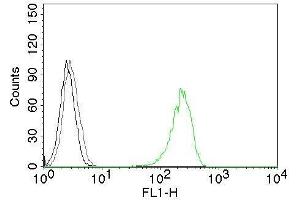 Flow Cytometry of human CD71 on K562 cells.