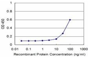 Detection limit for recombinant GST tagged FOXF2 is approximately 3ng/ml as a capture antibody. (FOXF2 antibody  (AA 207-340))