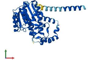Protein Structure (PS) image for Hydroxysteroid (17-Beta) Dehydrogenase 3 (HSD17B3) (AA 1-310) protein (His tag) (ABIN7547086)