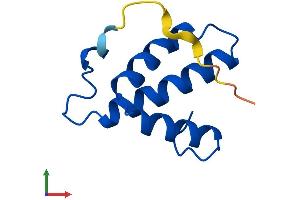 AlphaFold protein structure predicition of Human Recombinant COX6B2 Protein, UniprotID Q6YFQ2