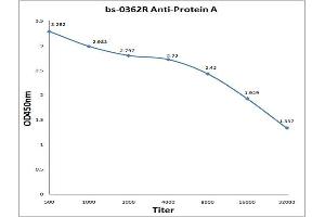 Antigen: 0. (Protein A antibody)