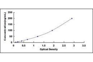 ELISA image for Arginine (ARG) ELISA Kit (ABIN414563) (Arginine ELISA Kit)