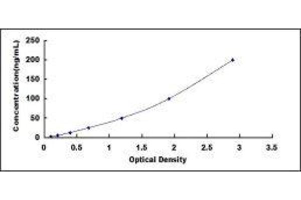 Arginine ELISA Kit