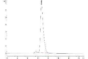 The purity of Mouse IL-15RA is greater than 95 % as determined by SEC-HPLC. (IL15RA Protein (AA 33-205) (Fc Tag))