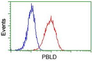 Flow cytometric Analysis of Hela cells, using anti-PBLD antibody (ABIN2453424), (Red), compared to a nonspecific negative control antibody (TA50011), (Blue). (PBLD1 antibody)