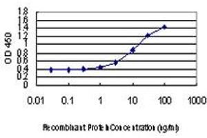 Detection limit for recombinant GST tagged EPM2A is approximately 1ng/ml as a capture antibody. (EPM2A antibody  (AA 101-199))