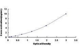 Lysophosphatidylcholine Acyltransferase 1 (LPCAT1) ELISA Kit