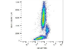 Surface staining of human peripheral blood with anti-human CD147 (MEM-M6/1) FITC. (CD147 antibody  (FITC))