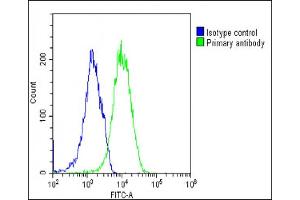 Overlay histogram showing U-2 OS cells stained with (ABIN6243199 and ABIN6577243)(green line). (EIF2B3 antibody  (AA 110-452))