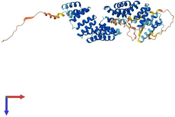 BBS4 Protein (AA 1-519) (His tag)
