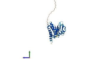 AlphaFold protein structure predicition of Human Recombinant PNO1 Protein, UniprotID Q9NRX1 (PNO1 Protein (AA 1-252) (His tag))